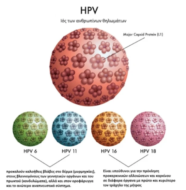 HPV